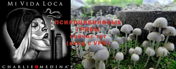 герыч Абаза