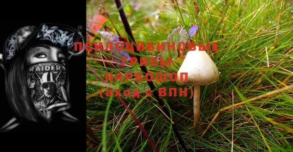 a pvp Алексин