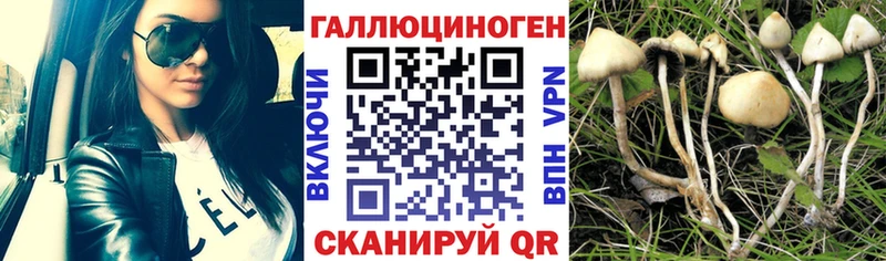 Псилоцибиновые грибы мицелий  Сухиничи 